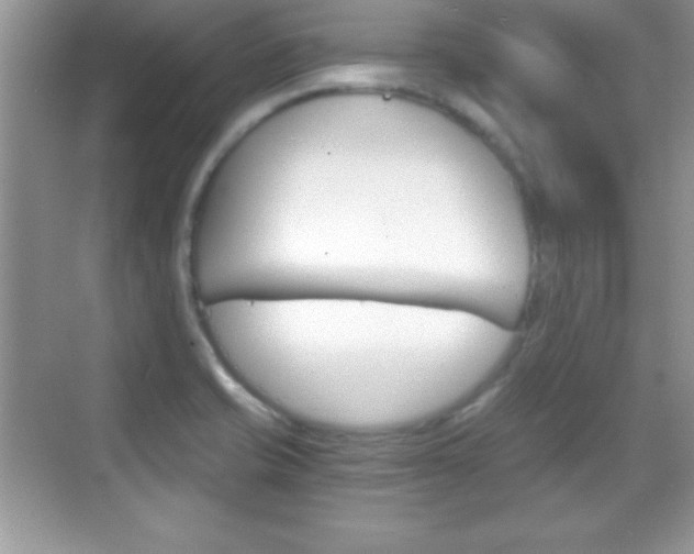 X0000068851421200605051006
