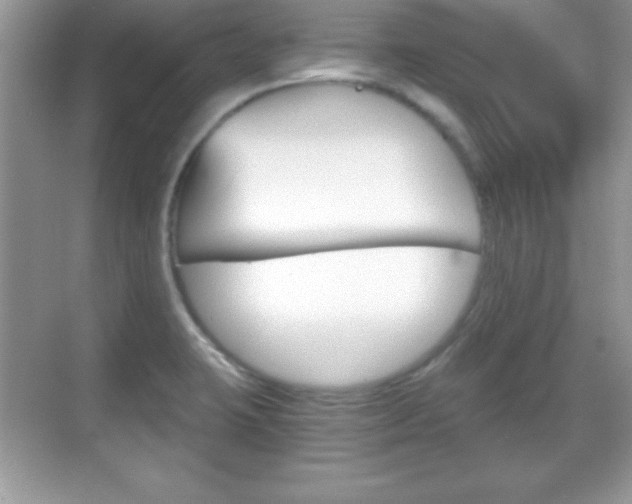 X0000068851423200605051006