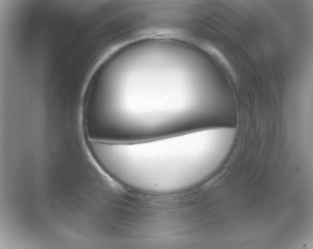 X0000068851424200605051006