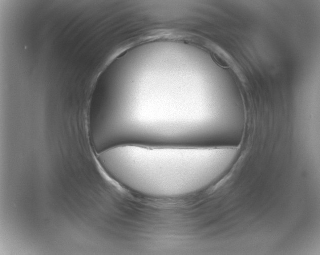 X0000068851433200605051006