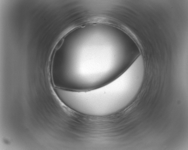 X0000068851434200605051006