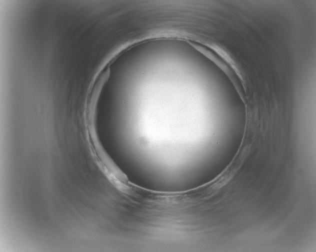 X0000068851438200605051006