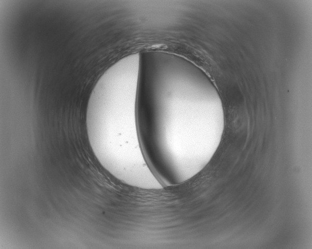 X0000068851442200605051005