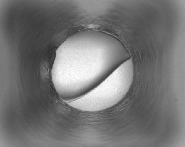 X0000068851443200605051005