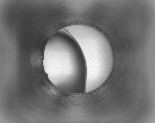 X0000068851444200605051005