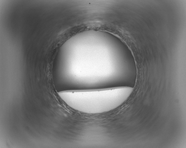 X0000068851445200605051005