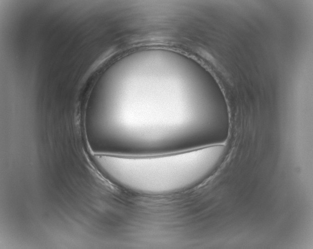 X0000068851450200605051005