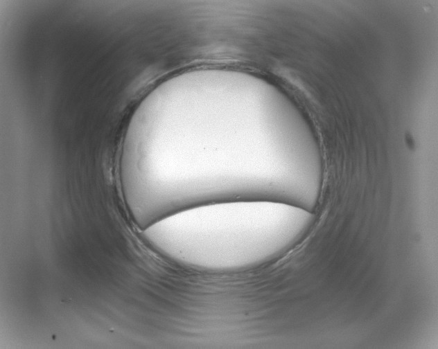 X0000068851451200605051005