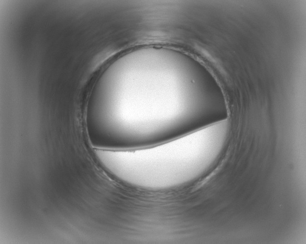 X0000068851453200605051005