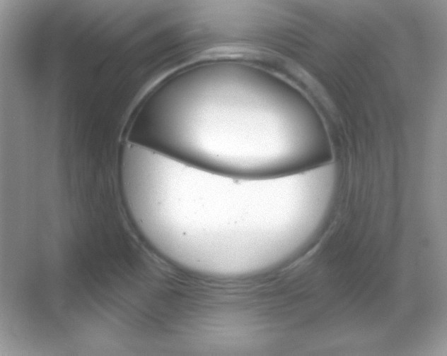 X0000068851465200605051005