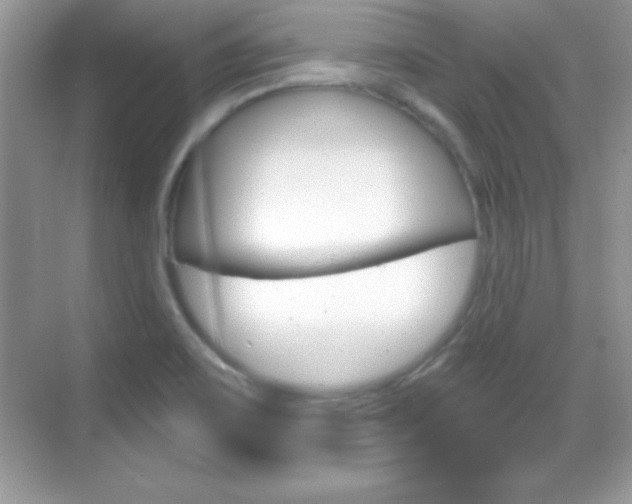 X0000068851467200605051005