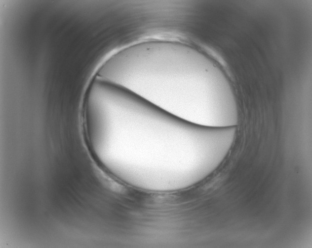X0000068851471200605051005