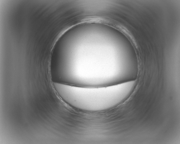 X0000068851481200605051005