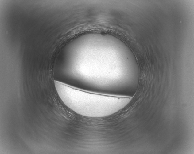 X0000068851490200605051004