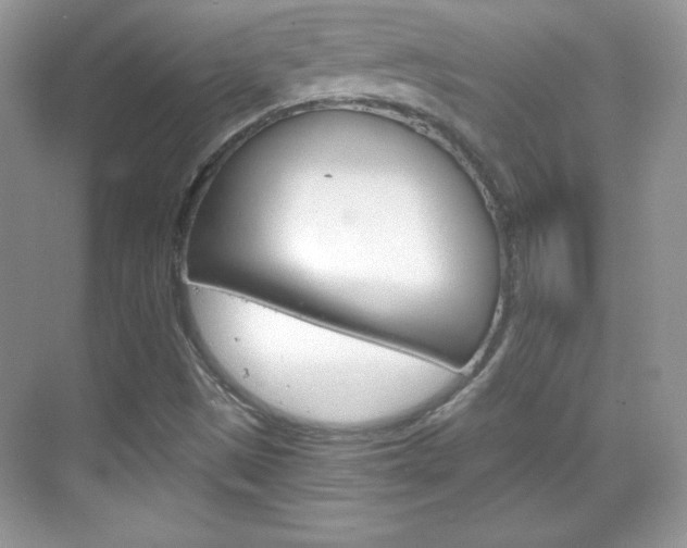 X0000068851497200605051004