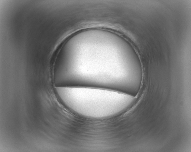 X0000068851501200605051004