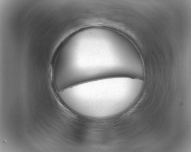 X0000068851509200605051004