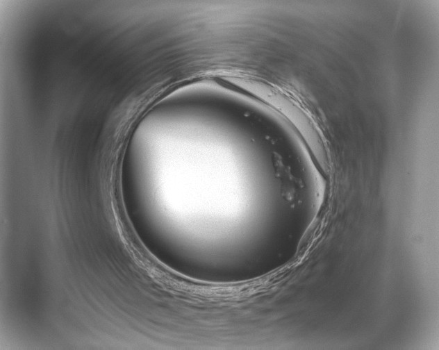 X0000068850001200605051225