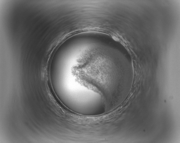 X0000068850002200605051225