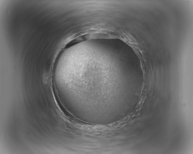 X0000068850003200605051225