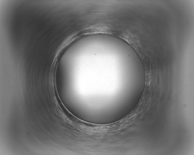 X0000068850004200605051225