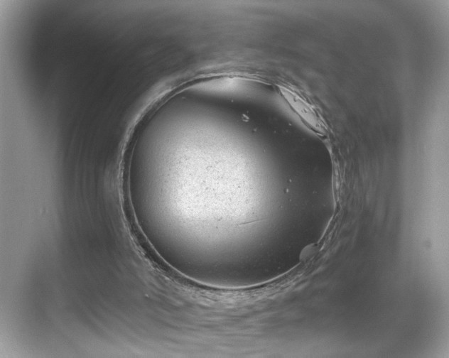 X0000068850006200605051225