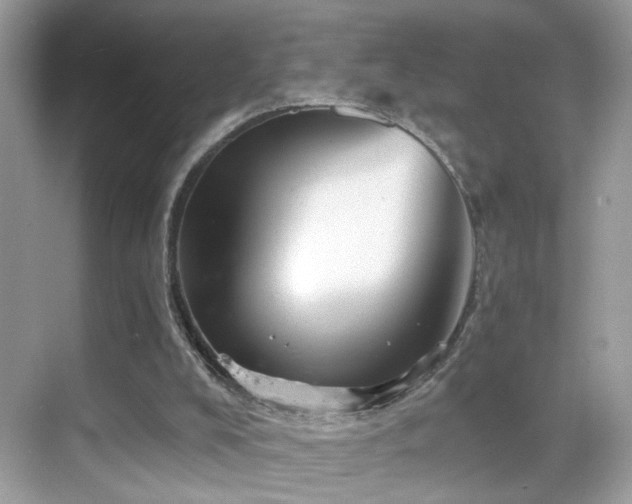 X0000068850008200605051225