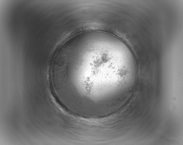 X0000068850010200605051225