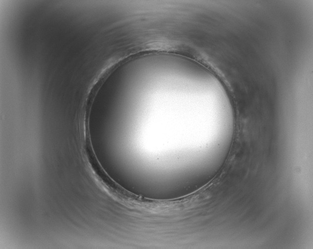 X0000068850011200605051225