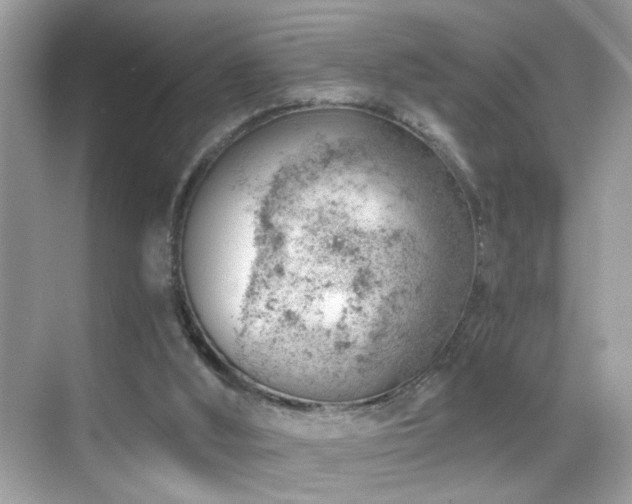 X0000068850012200605051224