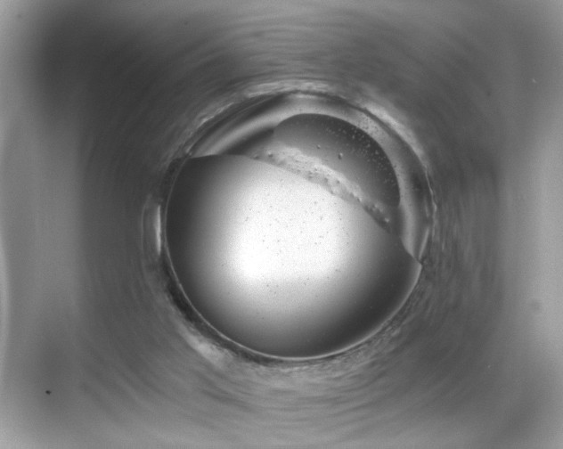 X0000068850013200605051224