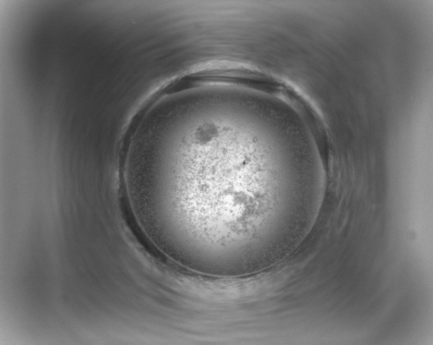 X0000068850015200605051224