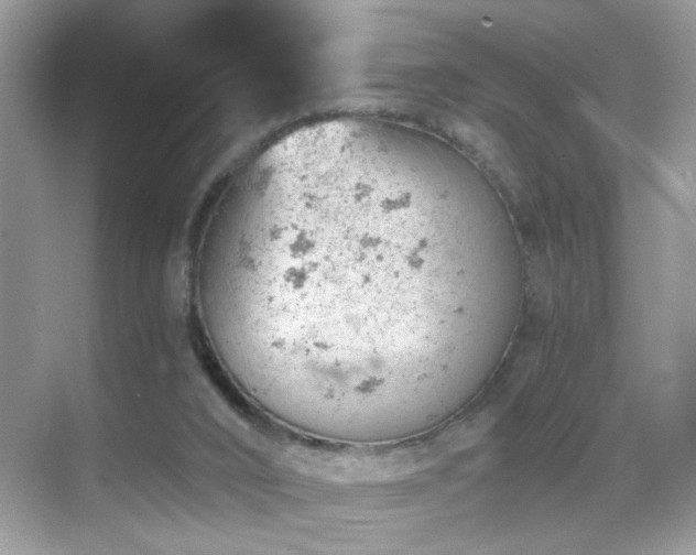 X0000068850016200605051224