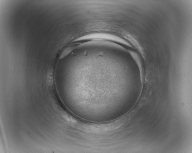 X0000068850017200605051224