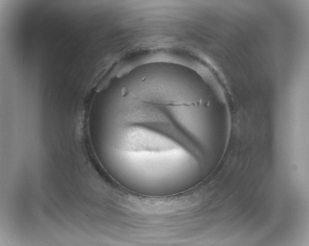 X0000068850018200605051224