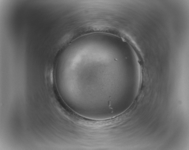 X0000068850019200605051224