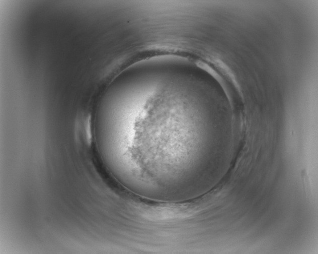 X0000068850020200605051224