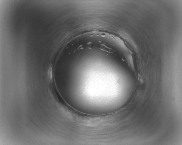 X0000068850021200605051224