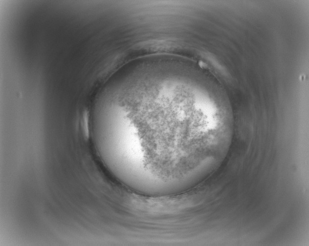 X0000068850022200605051224