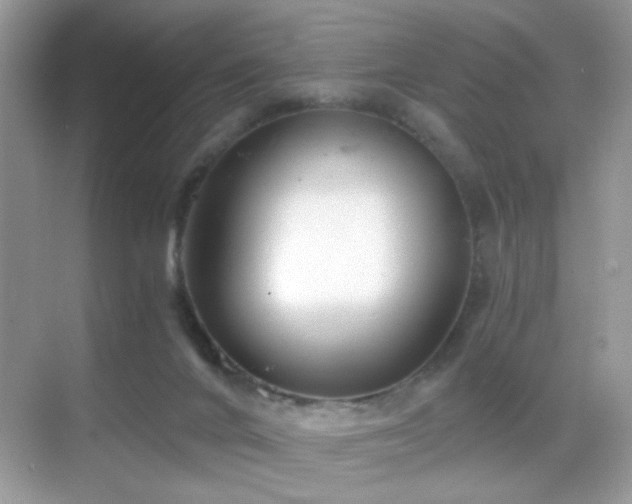 X0000068850024200605051224