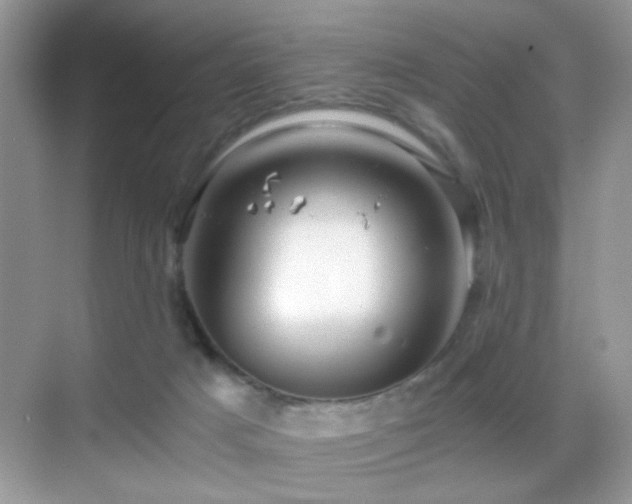 X0000068850025200605051224