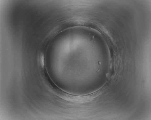 X0000068850027200605051224