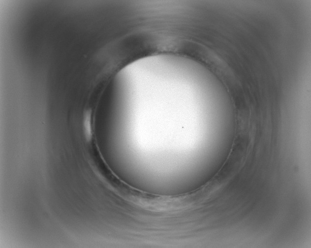 X0000068850028200605051224