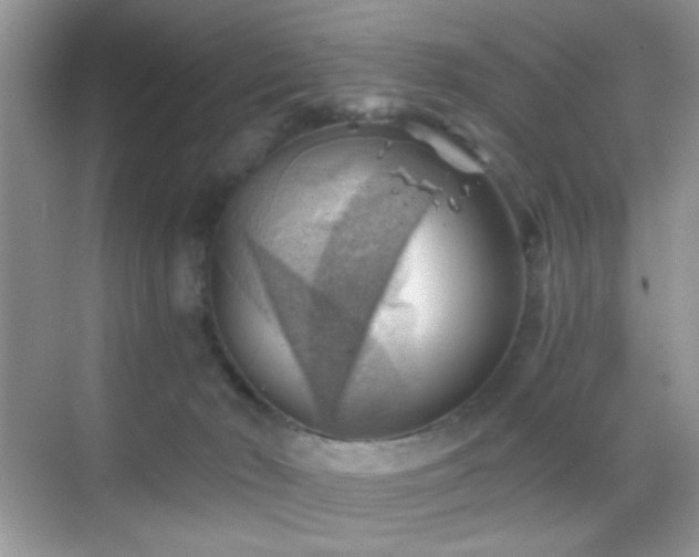 X0000068850030200605051224