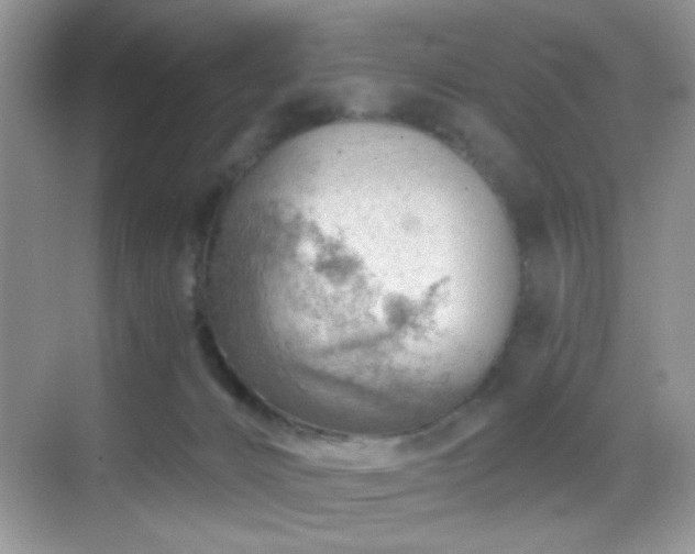 X0000068850032200605051224