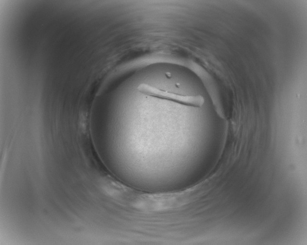 X0000068850033200605051224