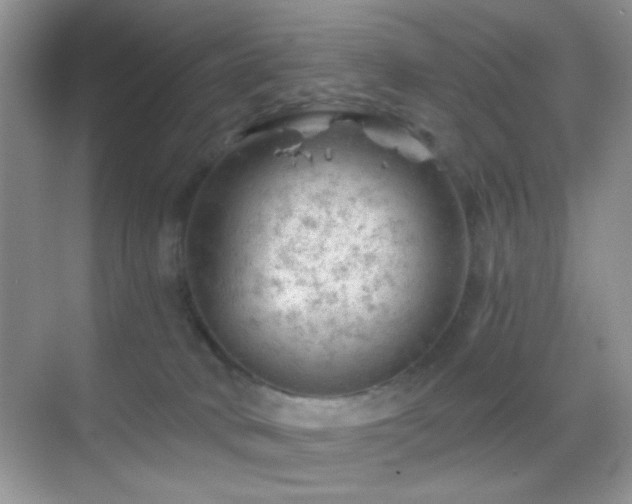 X0000068850034200605051224