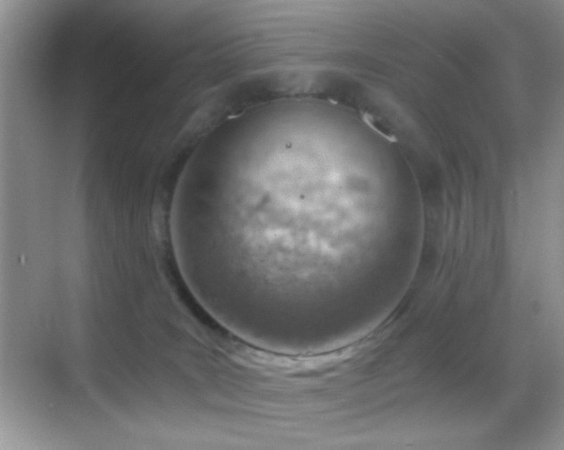 X0000068850035200605051224