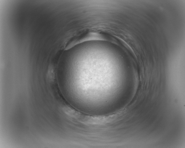 X0000068850037200605051224