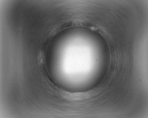 X0000068850038200605051224